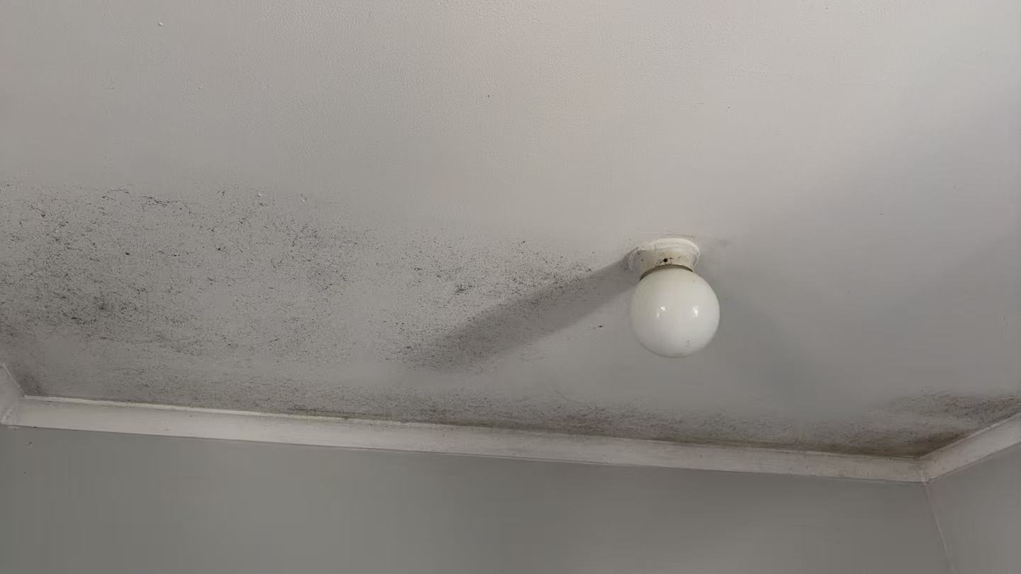 Dark spotting on a ceiling around a light fitting