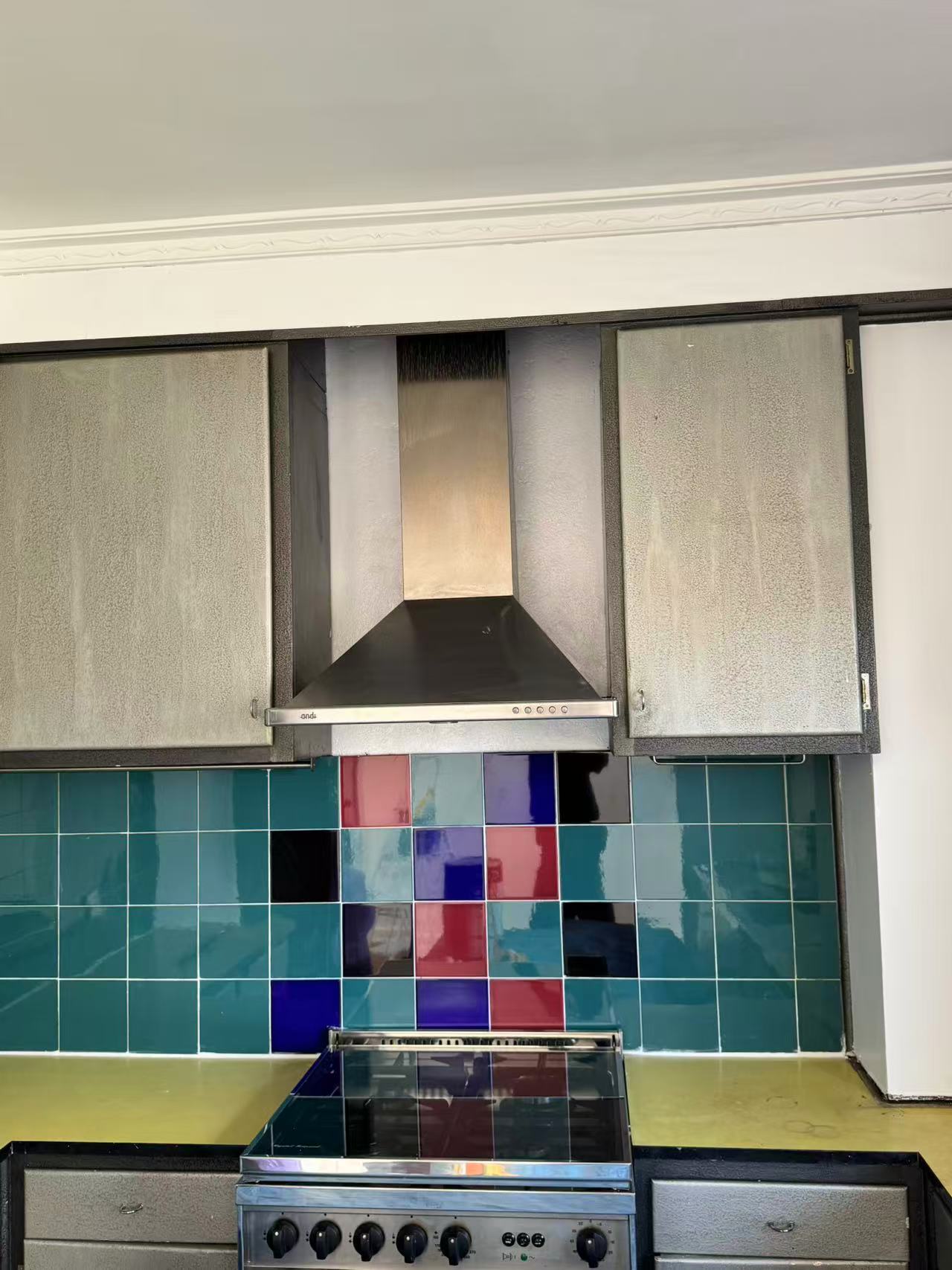 Existing kitchen rangehood, cooker and colourful splashback